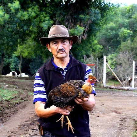 Cabanas Huilipan Gonzalez Nueva Imperial 외부 사진