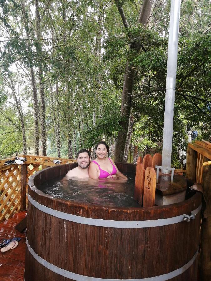 Cabanas Huilipan Gonzalez Nueva Imperial 외부 사진