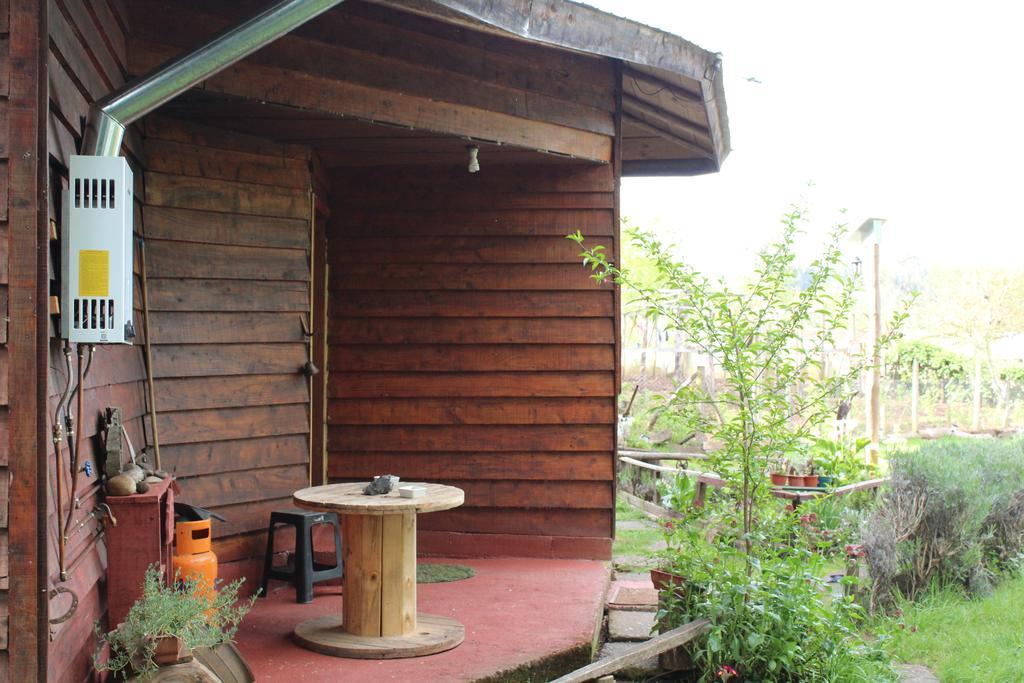 Cabanas Huilipan Gonzalez Nueva Imperial 외부 사진
