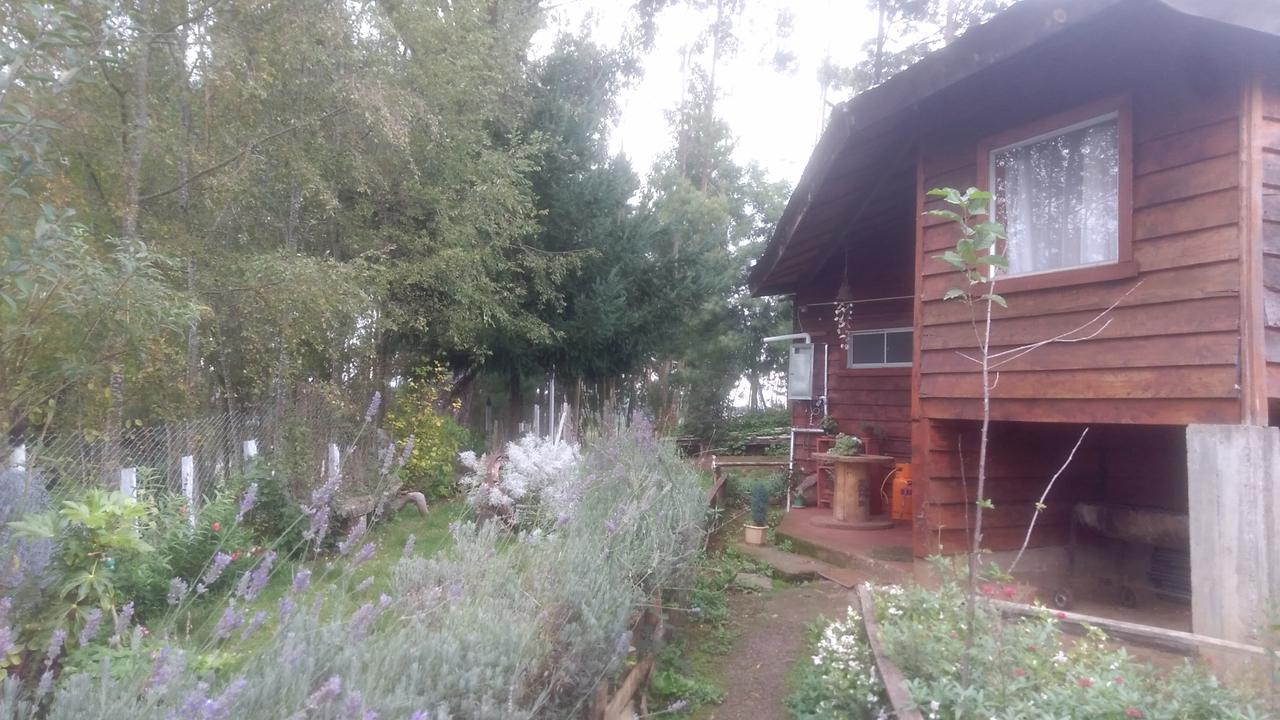 Cabanas Huilipan Gonzalez Nueva Imperial 외부 사진