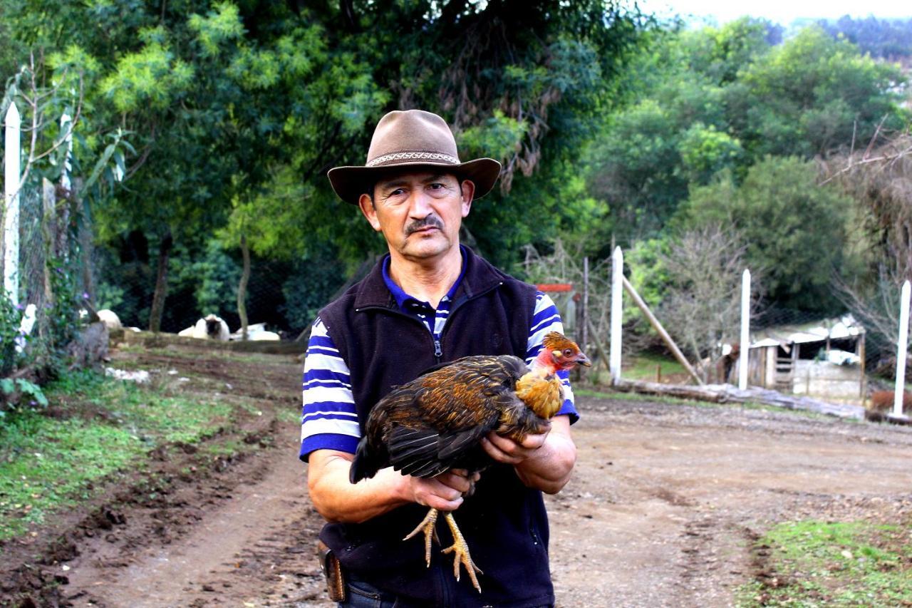 Cabanas Huilipan Gonzalez Nueva Imperial 외부 사진